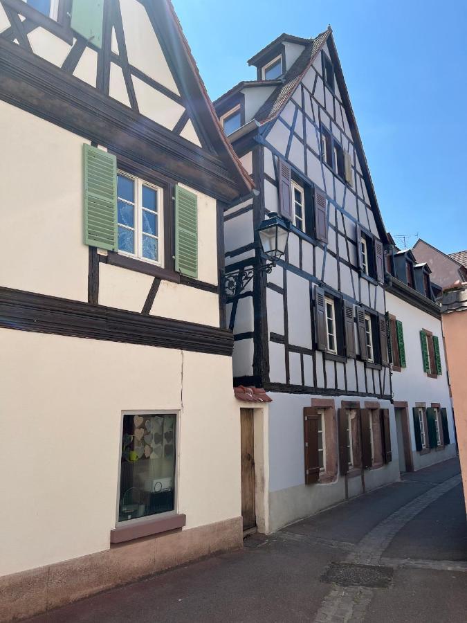 La Maison Du Batelier - Quartier Historique Petite Venise Colmar Bagian luar foto