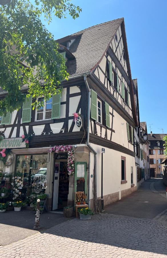 La Maison Du Batelier - Quartier Historique Petite Venise Colmar Bagian luar foto